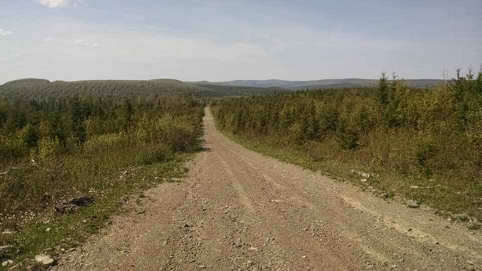 Hunting accommodation