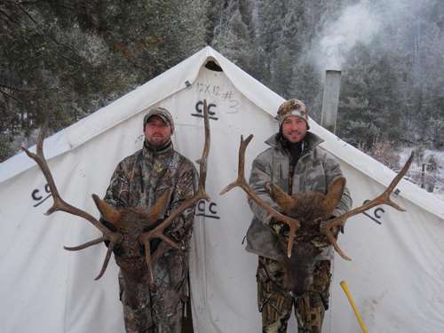 5-day Idaho Elk Hunt for One Hunter with Former NFL All-Pro Rulon