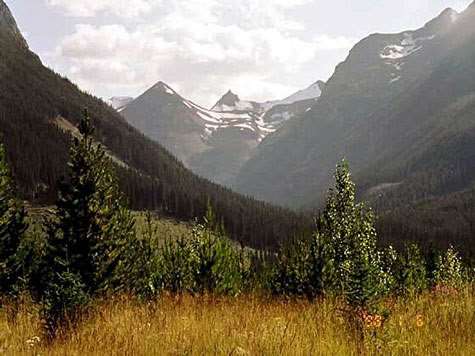 Black Bear Hunt (2x1, 2 Bears incl.) '26 / British Columbia, Canada