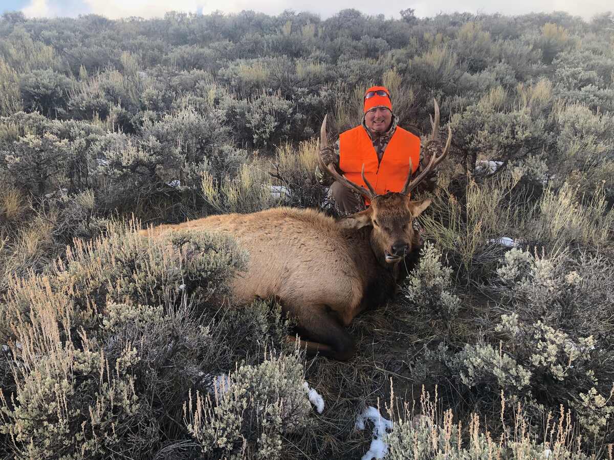 Colorado Hunting Guide 2024 Lynea Rosabel