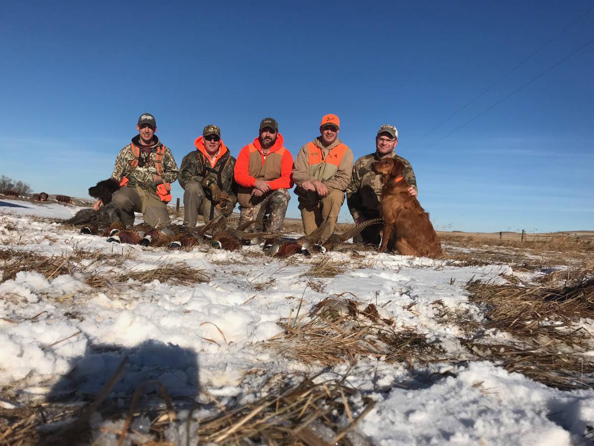 Pheasant Hunting  Travel South Dakota