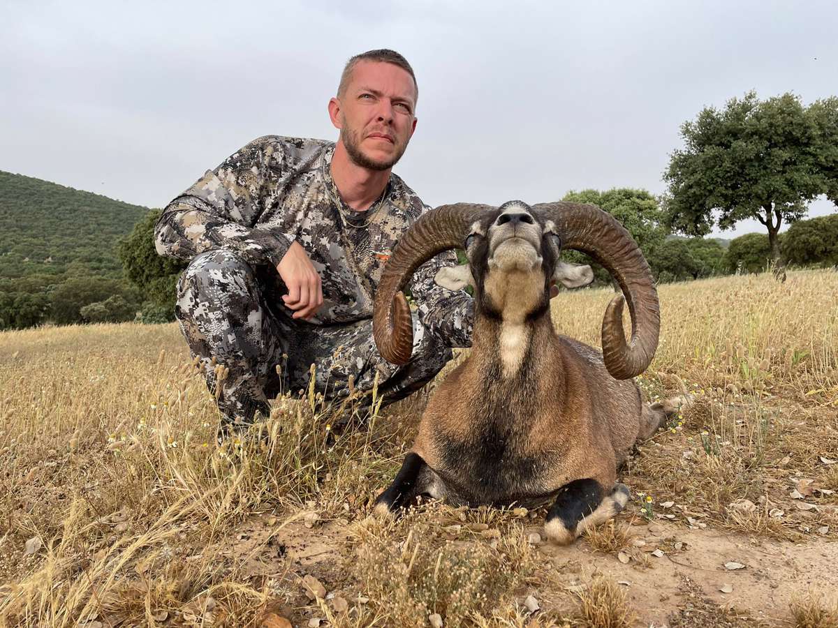 Iberian Mouflon Sheep hunt 23-24 / Extremadura, Испания - BookYourHunt.com