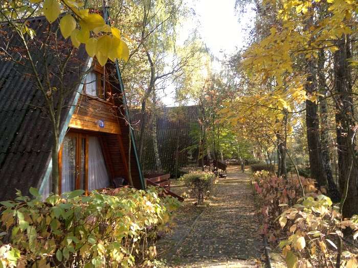 Hunting accommodation
