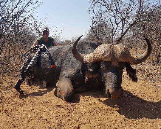 Bow Hunting Buffalo Package / Limpopo, South Africa - BookYourHunt.com