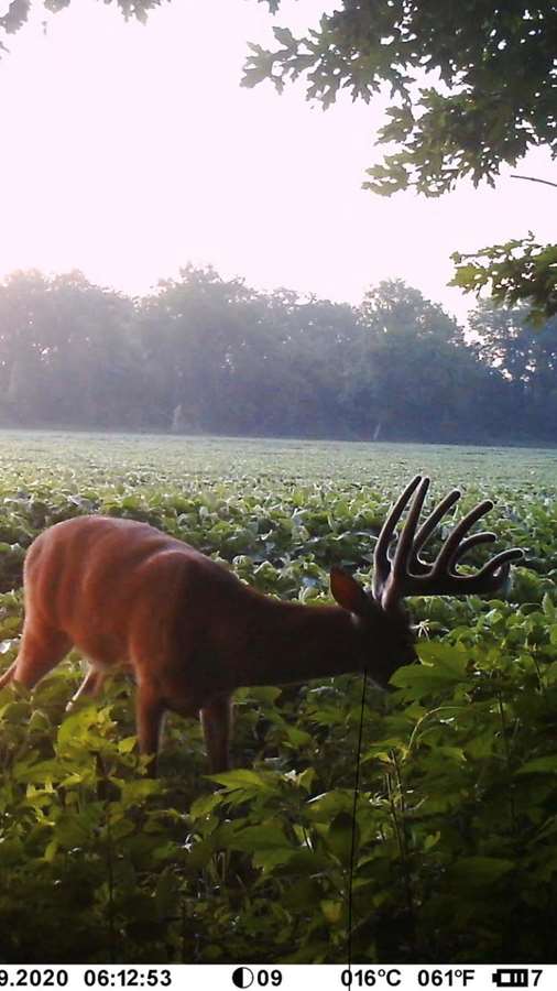 Hunting accommodation