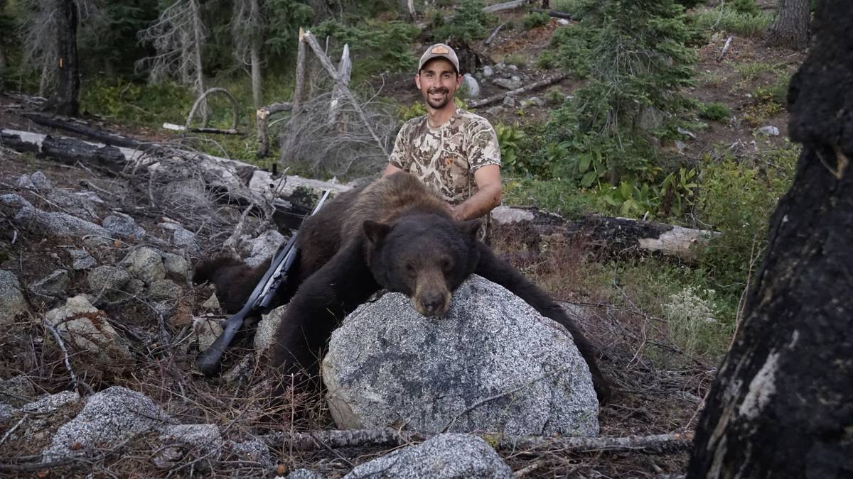 Hunting and Butchering Wild Black Bear