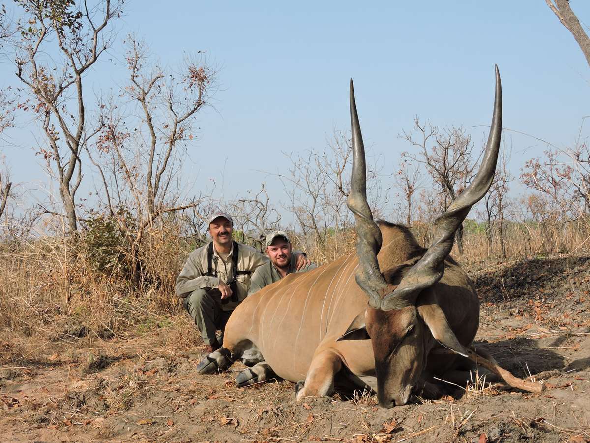 Giant Eland Safari / Cameroon