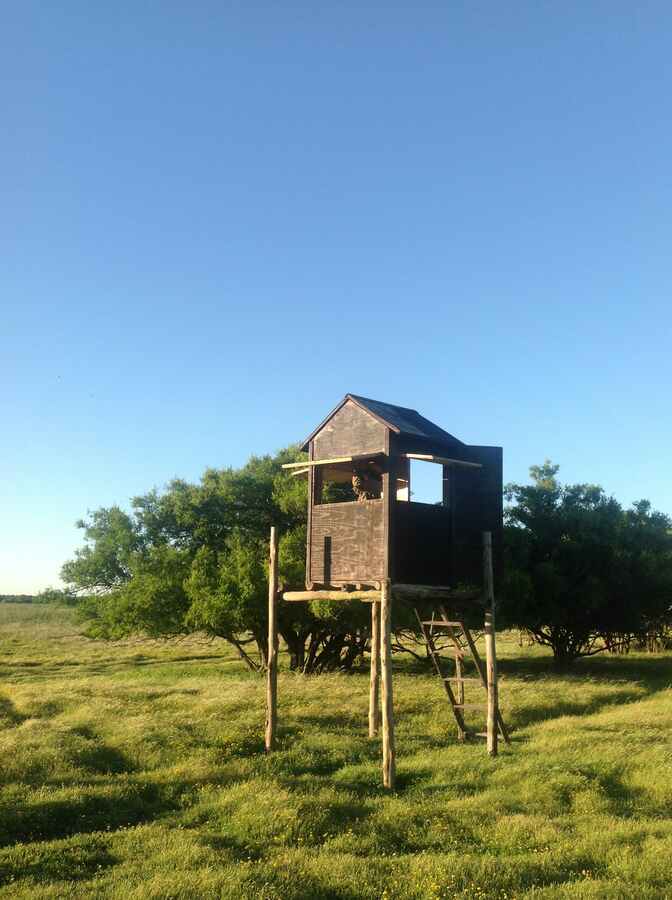 Hunting accommodation