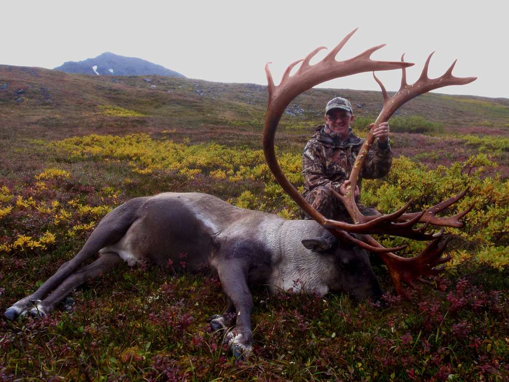 Caribou Hunt 2024 / Alaska, United States