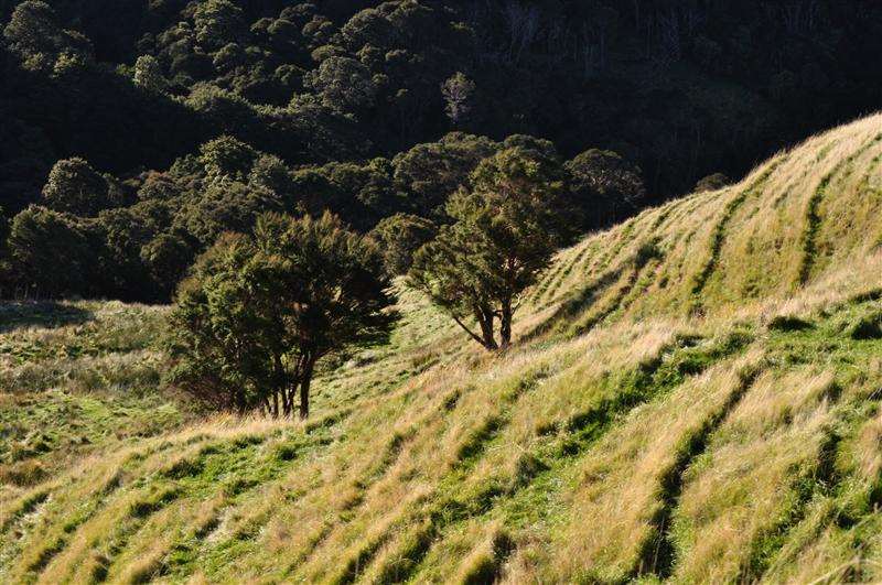 Hunting accommodation