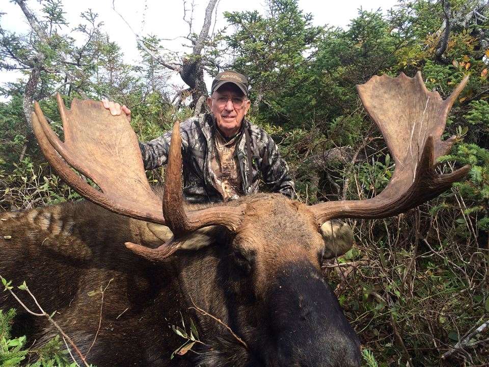 Newfoundland Moose Hunt 2021 Neufundland Und Labrador Kanada Bookyourhunt Com