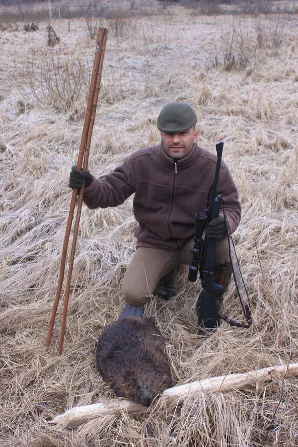 Best Time To Hunt Beavers