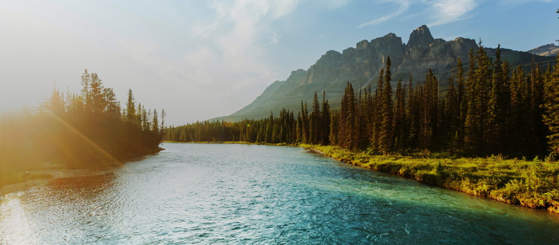 Hunting in Alberta