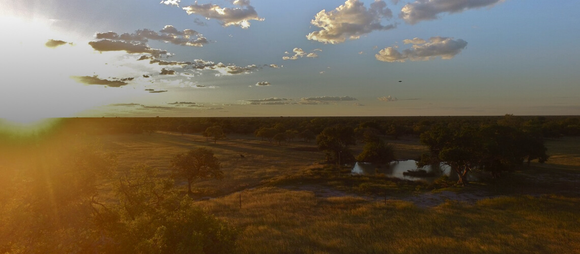 Damara Dik-Dik Safaris