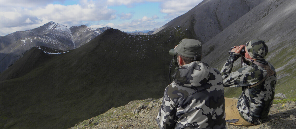 Guided Hunts