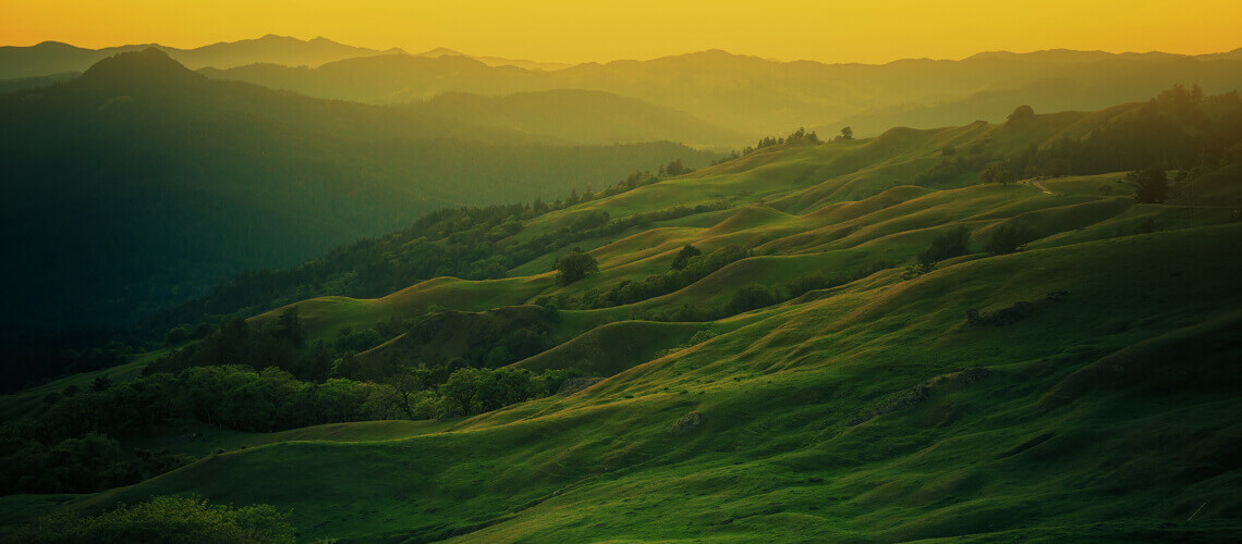 Hunting in California