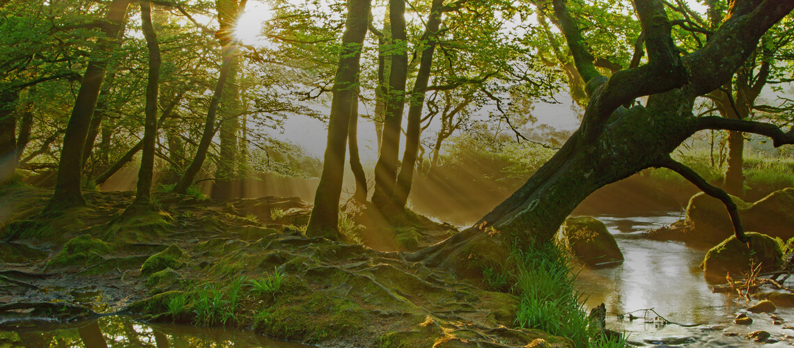 Hunting in United Kingdom