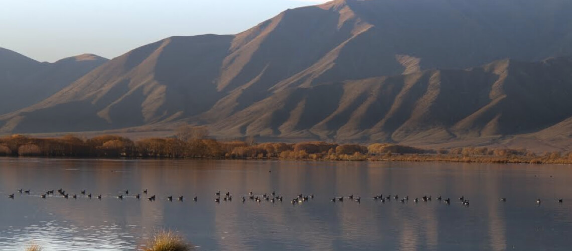 New Zealand Trophy Hunting