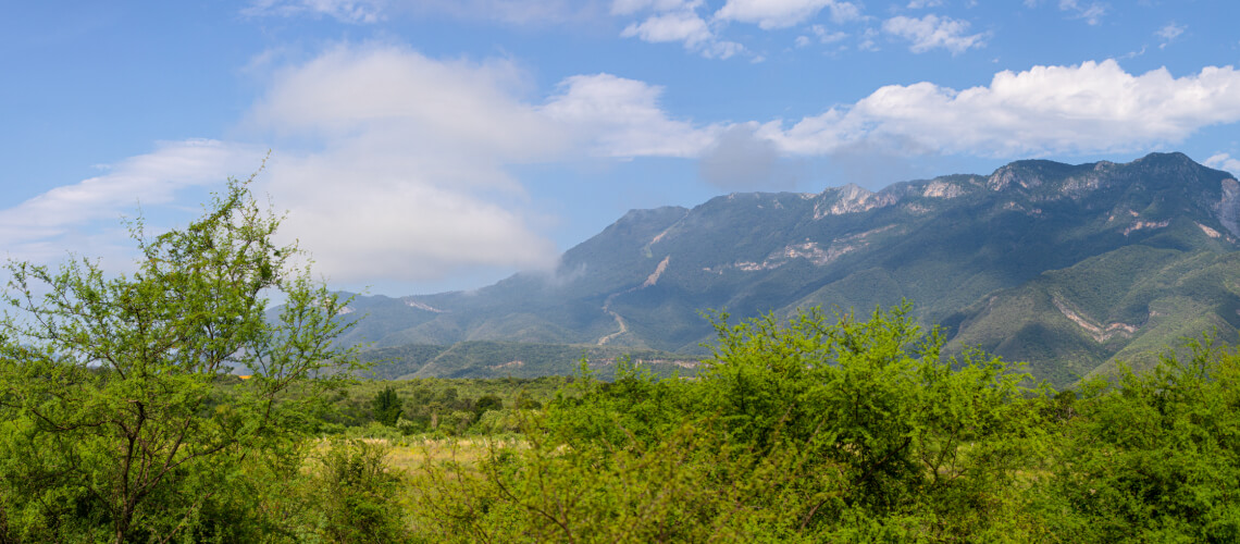 Hunting in Tamaulipas