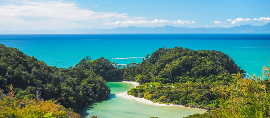Hunting in Tasman