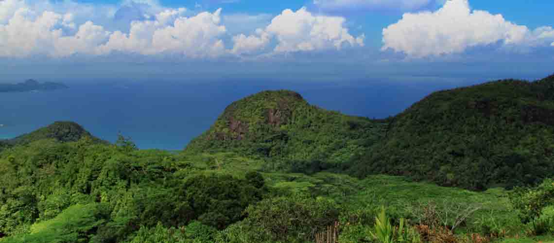 Hunting in Mauritius