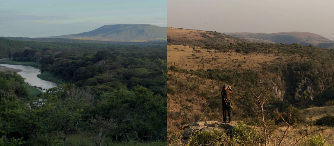 Hunting in KwaZulu-Natal