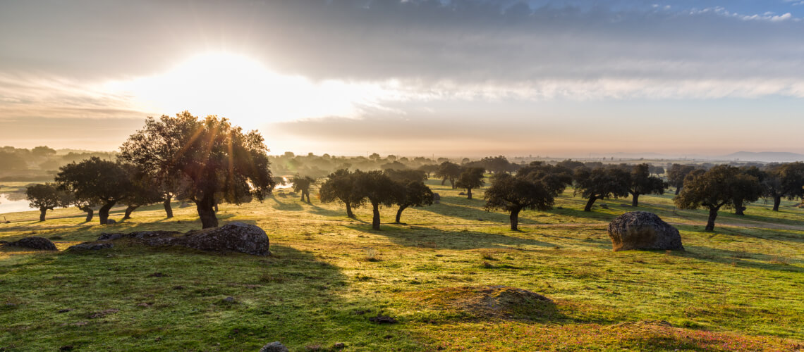 Hunting in Extremadura