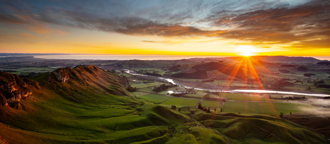 Hunting in Hawke's Bay