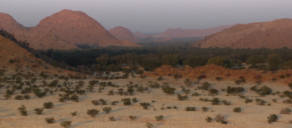 Leopard Legend Hunting Safaris Namibia