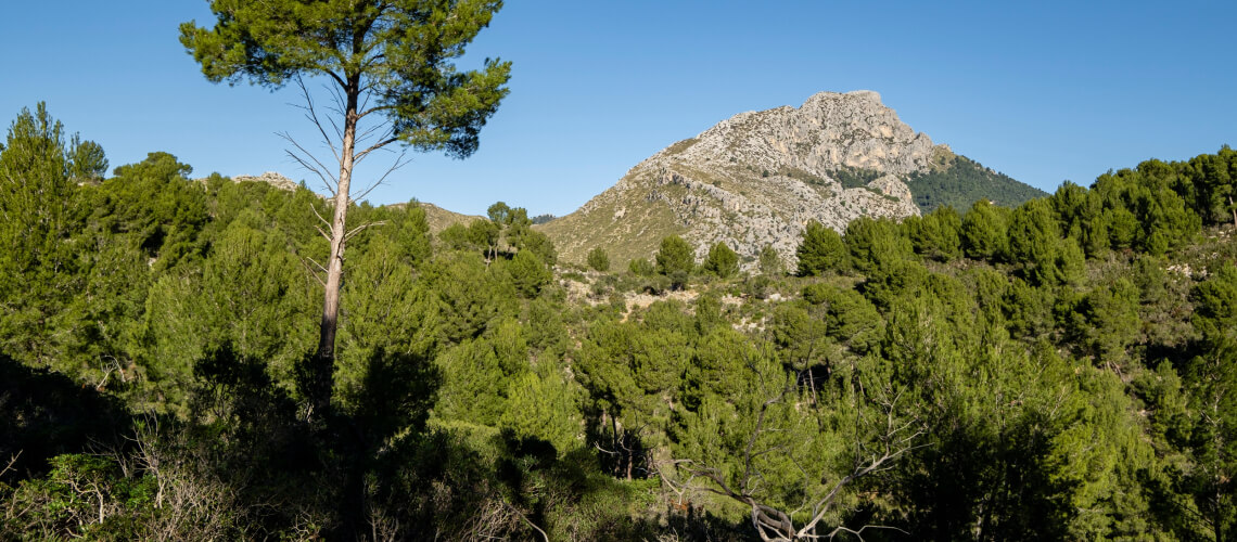 Hunting in Balearic Islands