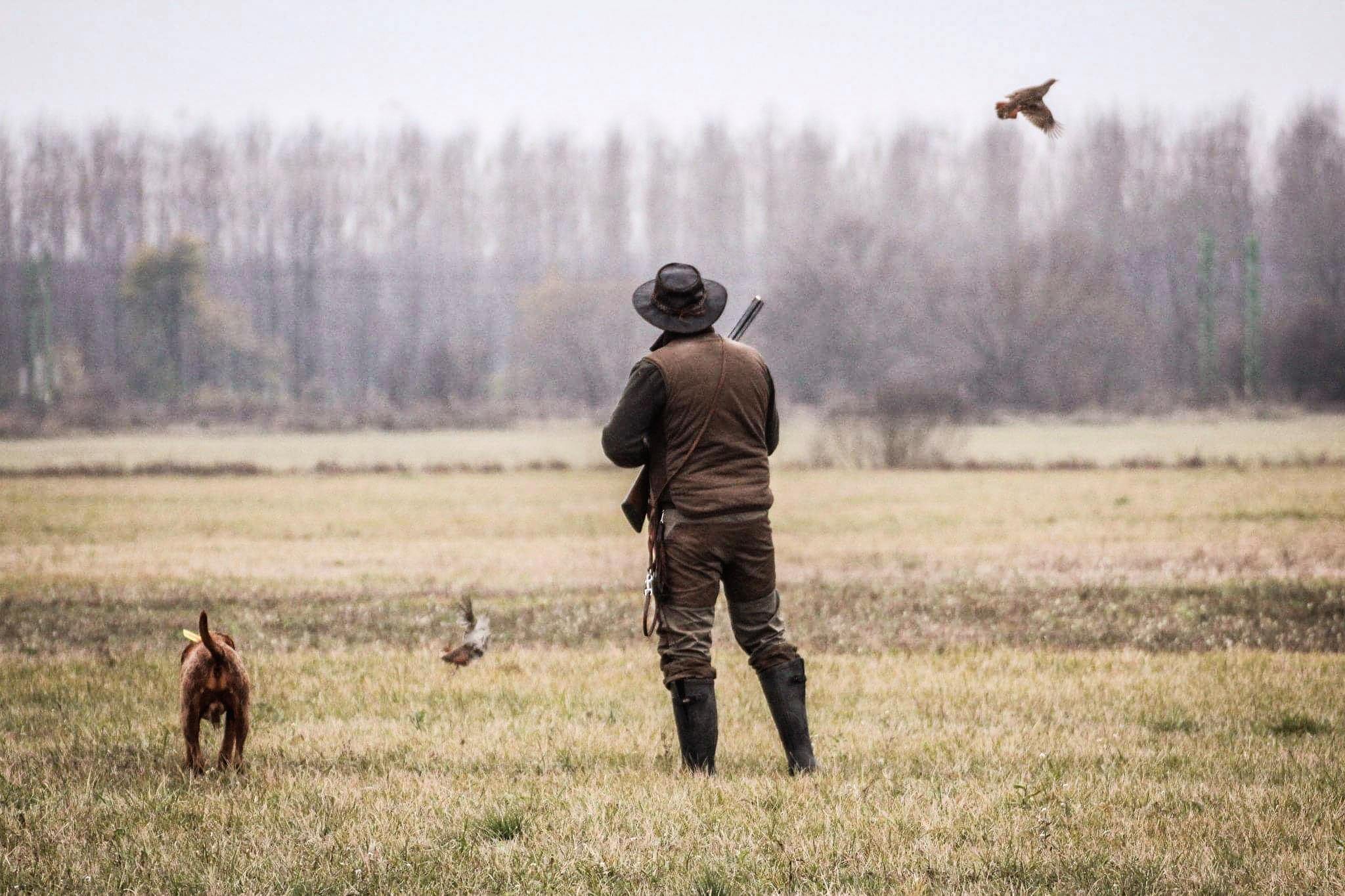 Partridge hunt 50 birds package, image size:2048x1365
