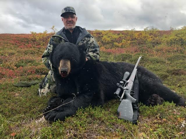 Brown Bear/Black Bear Combo! / Alaska, United States 