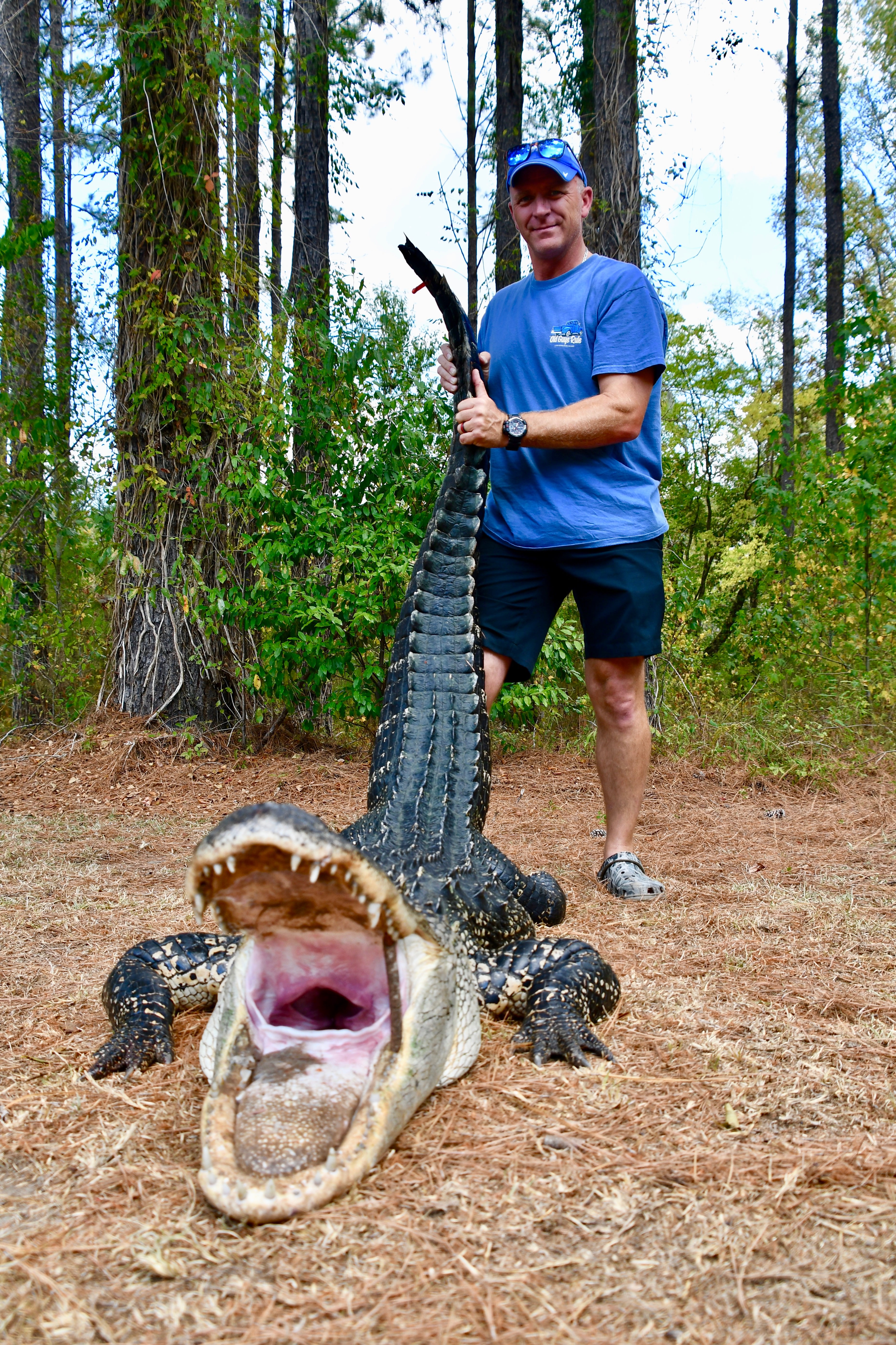 Alligator Hunt Public Land South Carolina United States Bookyourhunt Com