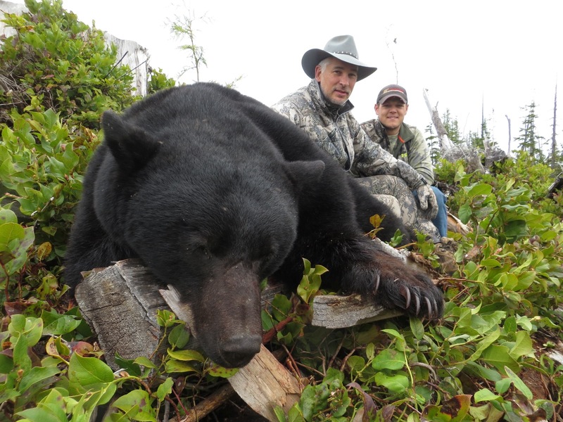 Vancuver Island Black Bear Hunt (1 bear) / British Columbia