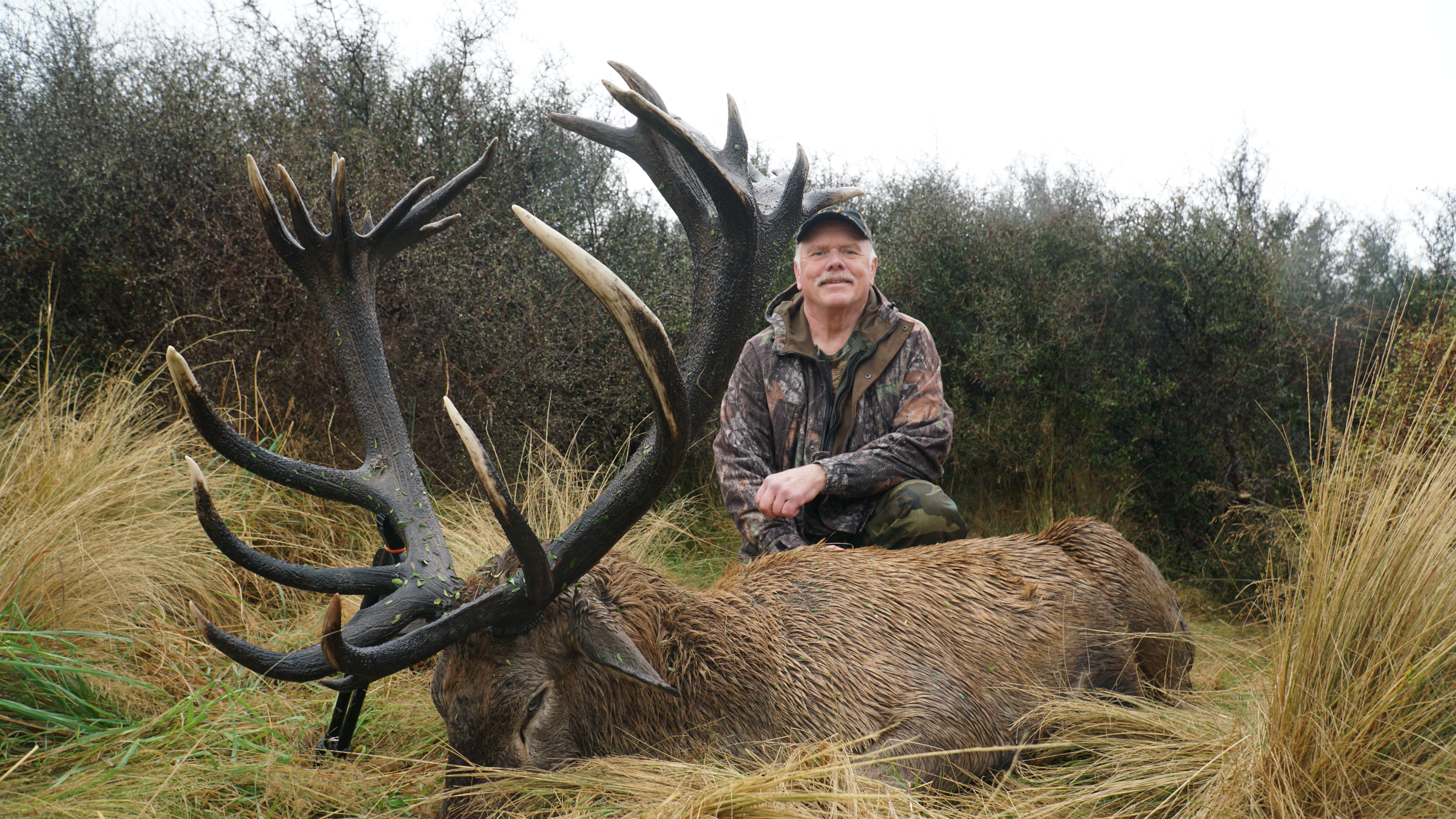 Red Stag and Tahr Hunt / Otago, Новая Зеландия - BookYourHunt.com