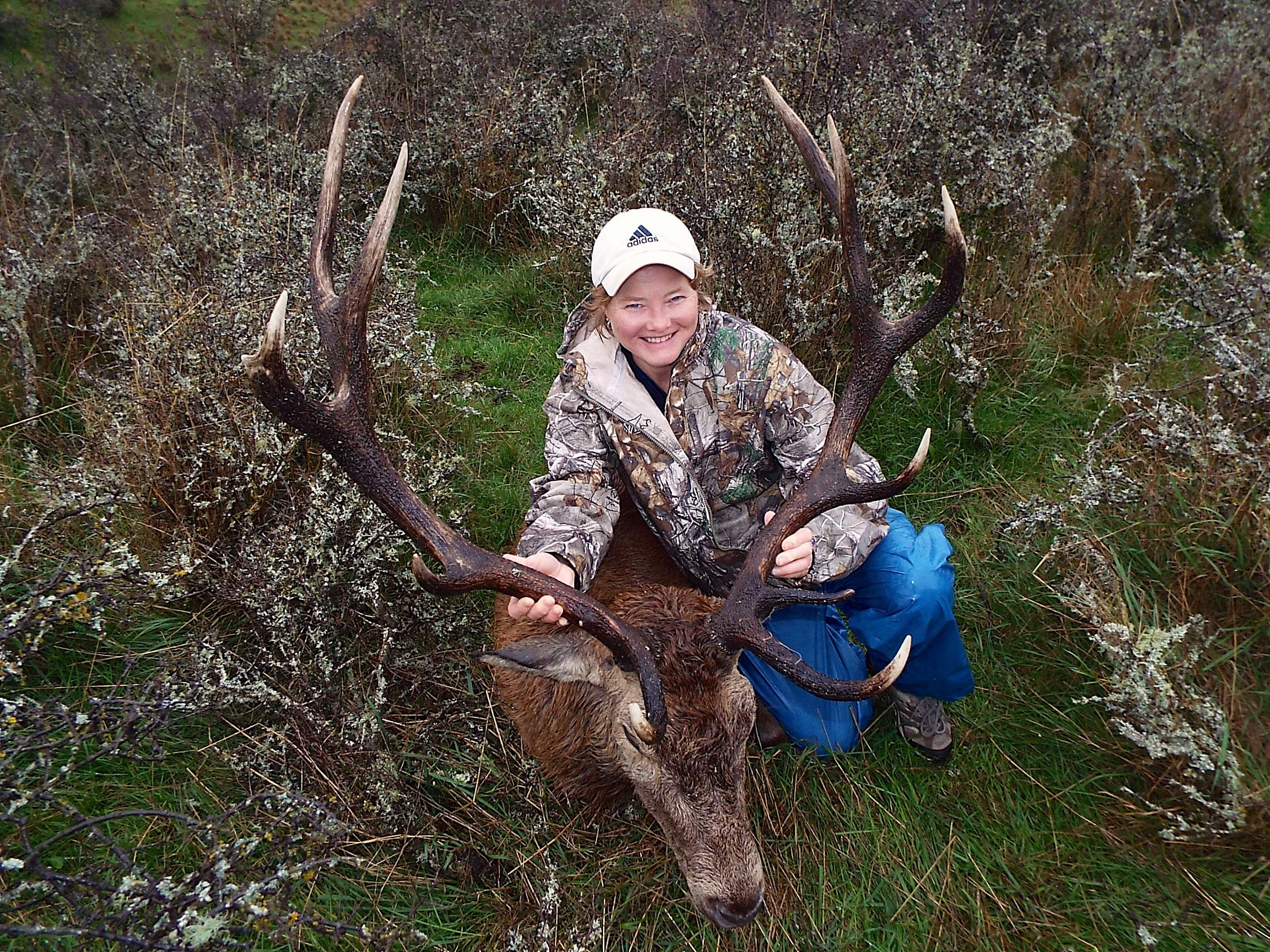 Red Stag Hunting New Zealand Neuseeland Bookyourhunt Com