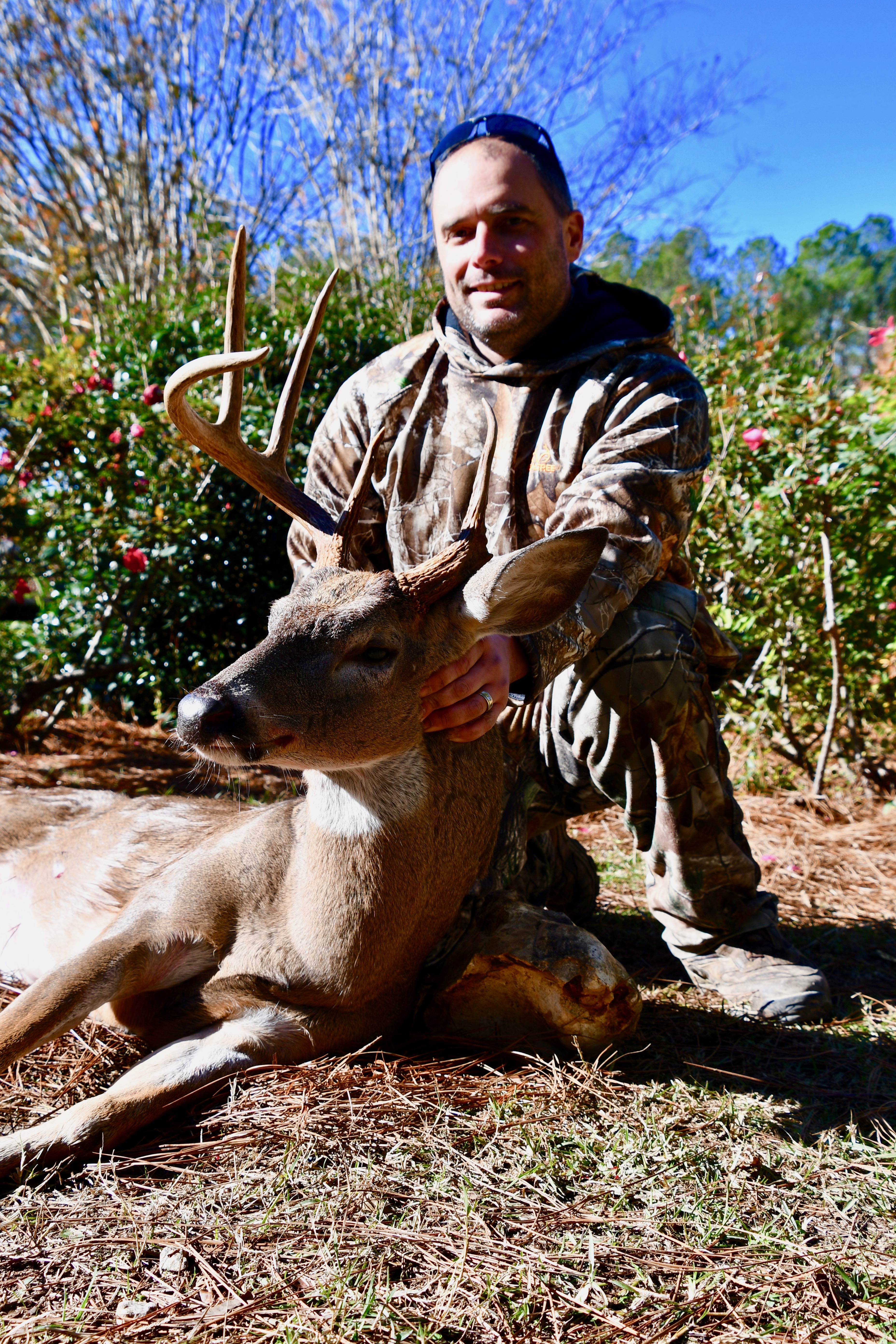 Deer Hog Combination Hunt 2021 South Carolina United States Bookyourhunt Com