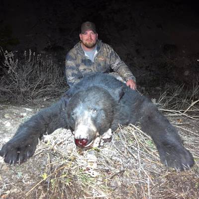5 Day Guided Bear Hunt! 2x1 Special