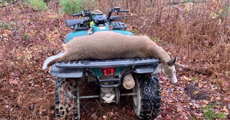 Maine White Tail Hunt Semi Guided '26