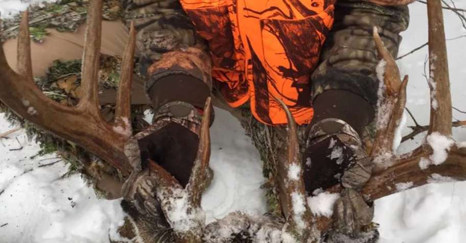 True Maine White Tail Hunt '26