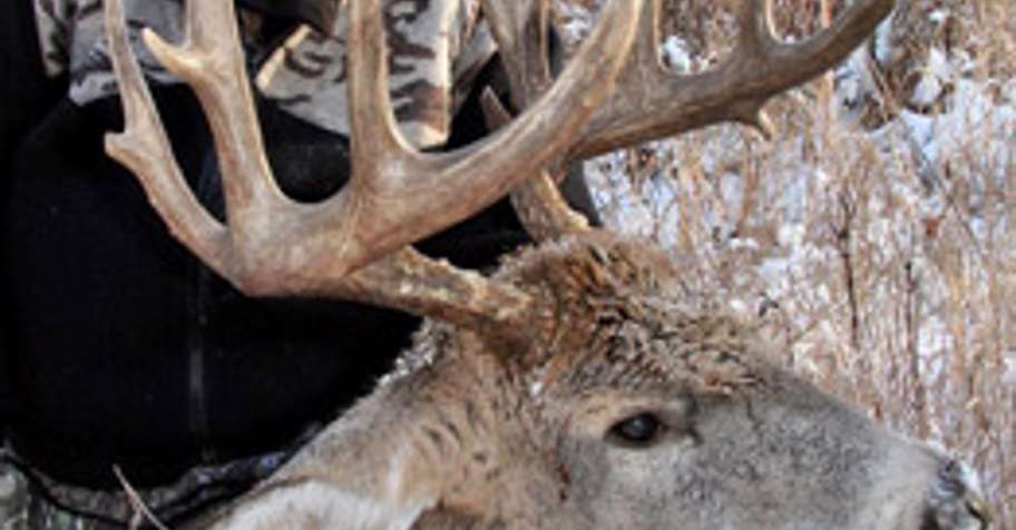 Guided Firearm Whitetail Hunt 2026