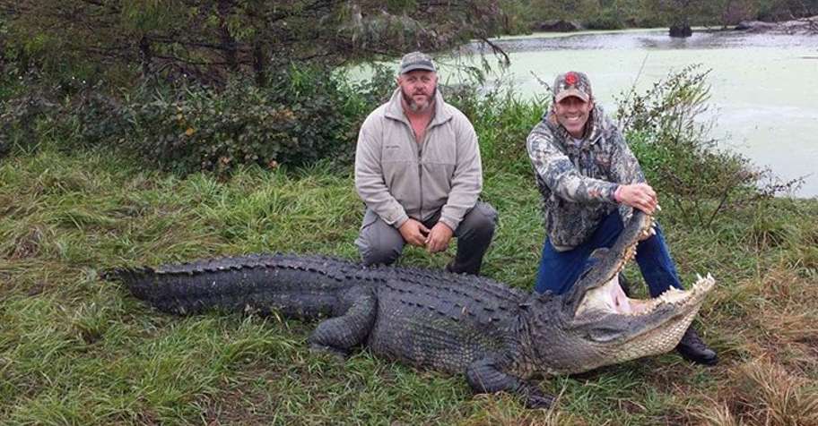 Alligator hunting trips - BookYourHunt.com