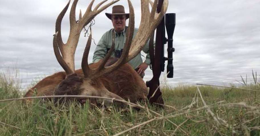 Red Stag / Dove Combo Package