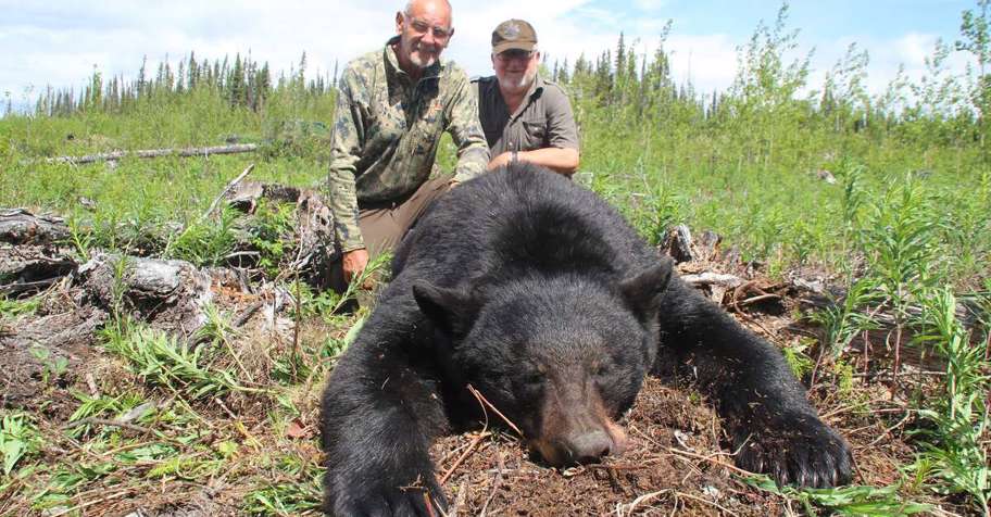 2x1 Spring Bear Hunt