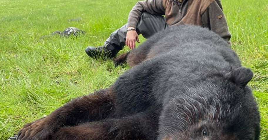 6 Day Spring Black Bear Hunt 2026