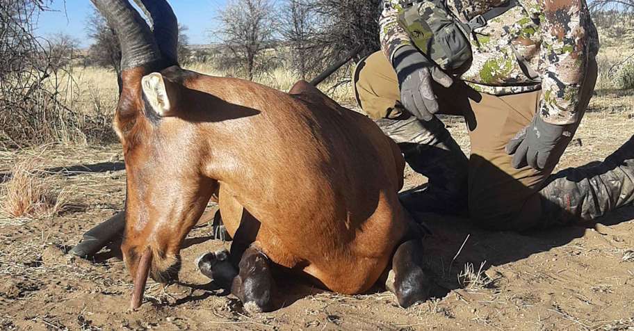 Bring a Buddy Package Hunt