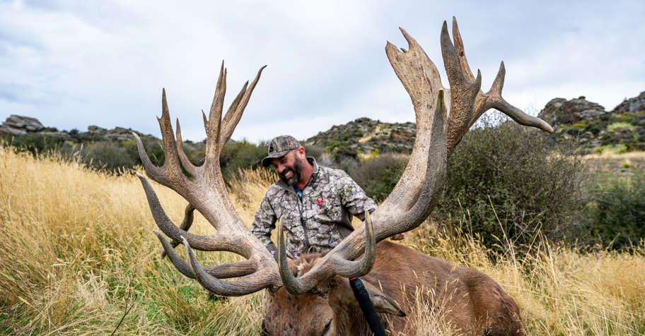 Big red stag hunt- 450-500"