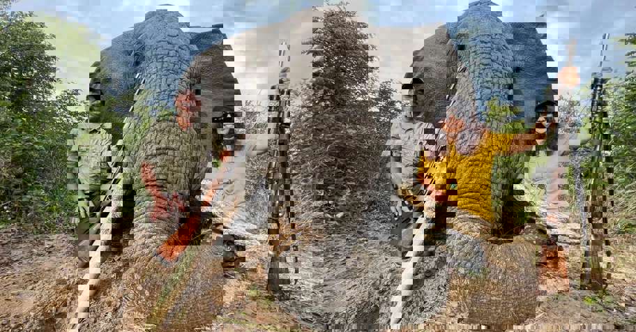 12 Day Elephant, Buffalo & Croc Combo