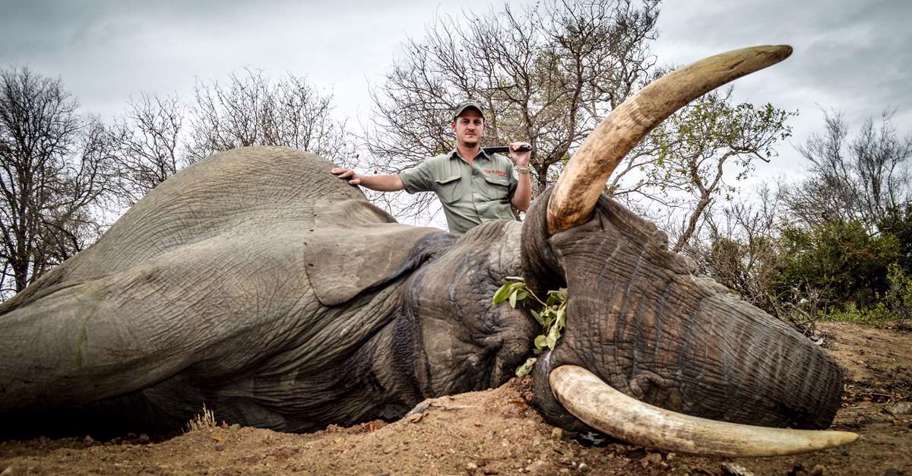 5 Day Freerange 30lb Elephant Safari