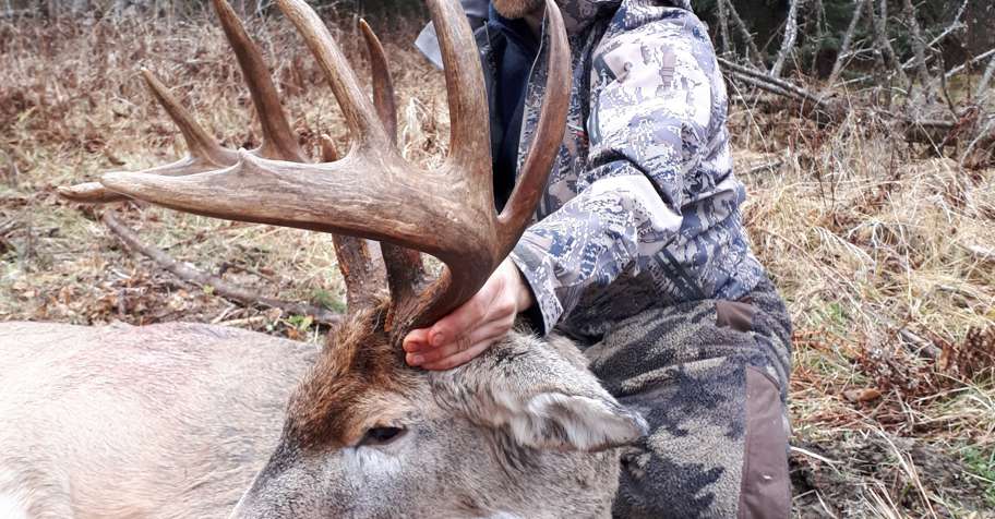 Whitetail/Moose/Wolf SPECIAL!